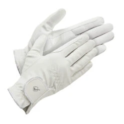 LeMieux Classic Riding Gloves 10 LeMieux Classic Riding Gloves -Equestrian Supplies Store 0ad61a6c642ac2c883f88d07eb2d0a6d.image .1200x1200