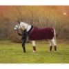 LeMieux Fleece Rug  -Equestrian Supplies Store 1d188b8704100d61267b6b5fcaee988c.image .1200x1200