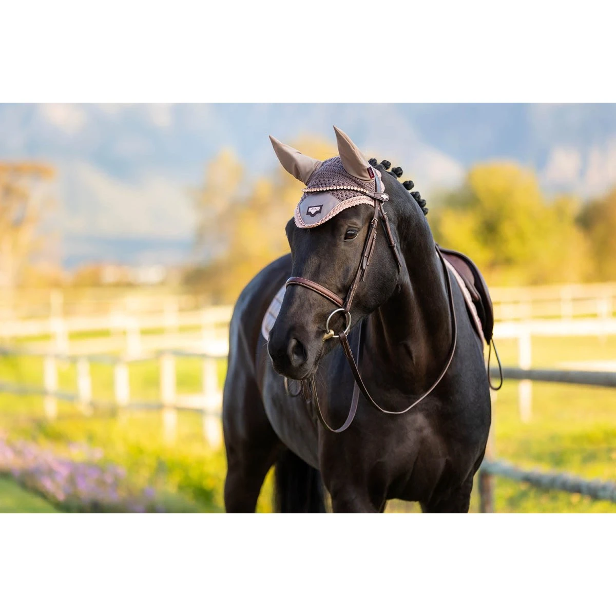LeMieux Loire Rosé & Truffle Collection Fly Hoods 6 LeMieux Loire Rosé & Truffle Collection Fly Hoods - Image 4