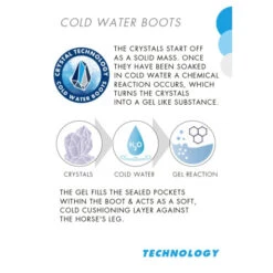 Premier Equine Cold Water Boots -Equestrian Supplies Store Cold Water Boot Infographic big