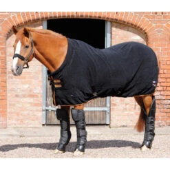 Premier Equine Buster Fleece Cooler Rug - Continental Edition -Equestrian Supplies Store Cooler Continental Black zoomx500