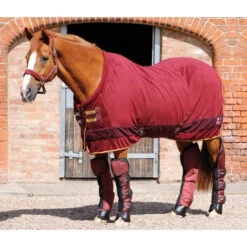 Premier Equine Buster Fleece Cooler Rug - Continental Edition -Equestrian Supplies Store Cooler Continental Burgundy zoomx500