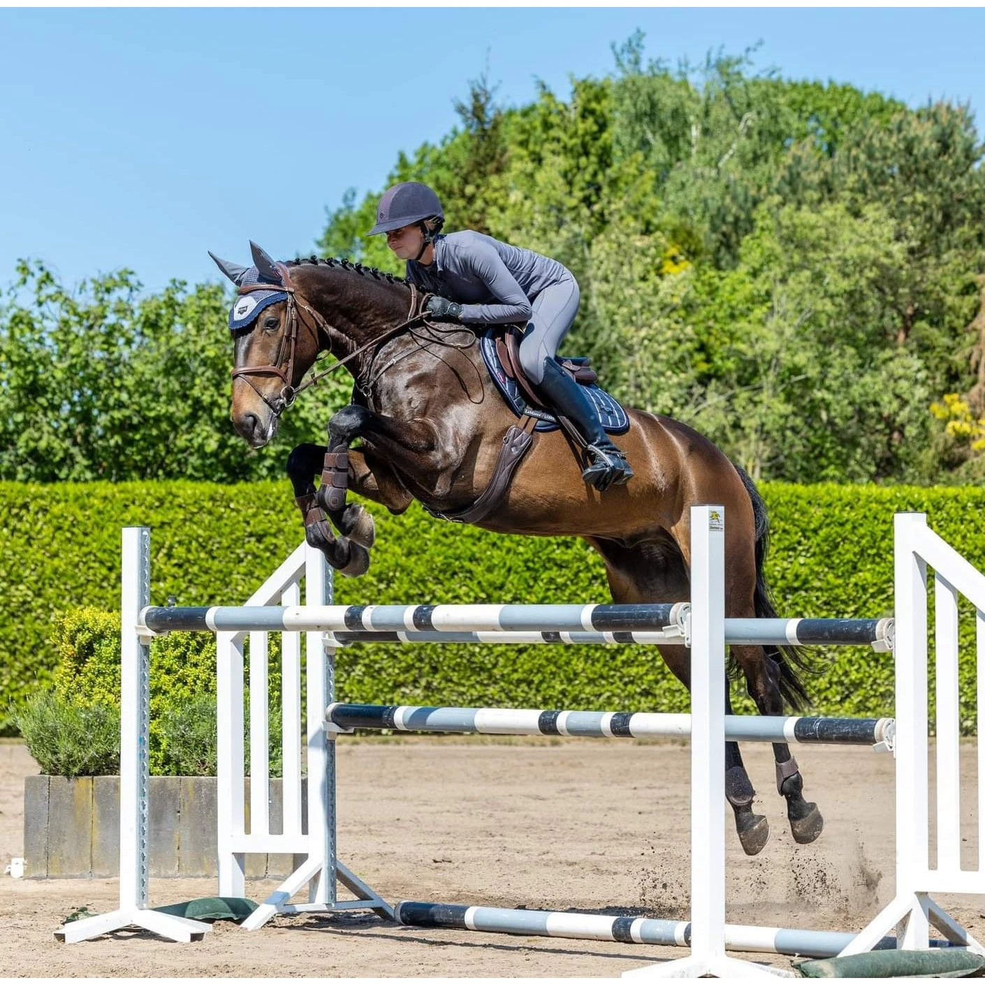 LeMieux Twilight Collection Classic Close Contact Square 6 LeMieux Twilight Collection Classic Close Contact Square - Image 4