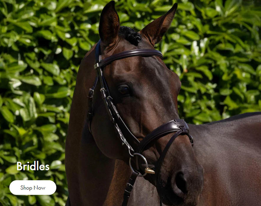 Equestrian Supplies Store -Equestrian Supplies Store FRTYT