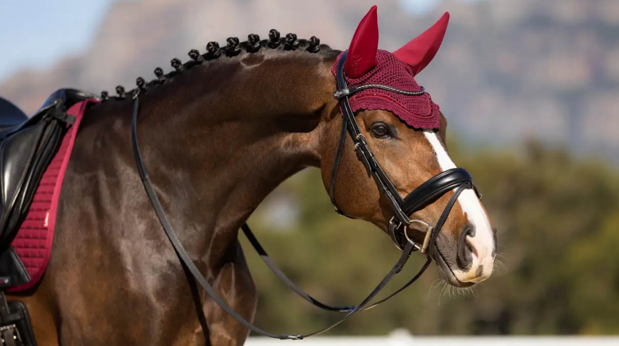 Equestrian Supplies Store -Equestrian Supplies Store GHJGHJ