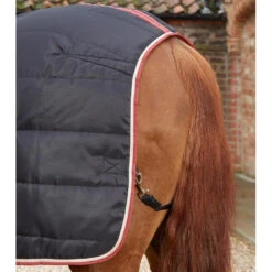 Premier Equine Garissa Stable Rug -Equestrian Supplies Store Garissa Stable 100 Black 6 768x 75d3a987 a224 4d31 a7b7 91d89aa3061e