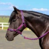 Eurohunter Comfort Halter And Lead -Equestrian Supplies Store IMG 4691 2 1296x 4262e3c2 a716 4031 857f 4c0f3d5fc345