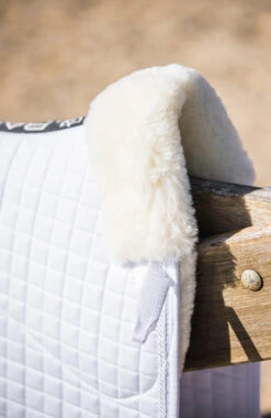 BARE Equestrian Deluxe Merino Dressage Saddlepad -Equestrian Supplies Store J080068 1373x.progressive 6c77ae83 a730 420a 9851 837b0b79d9b1