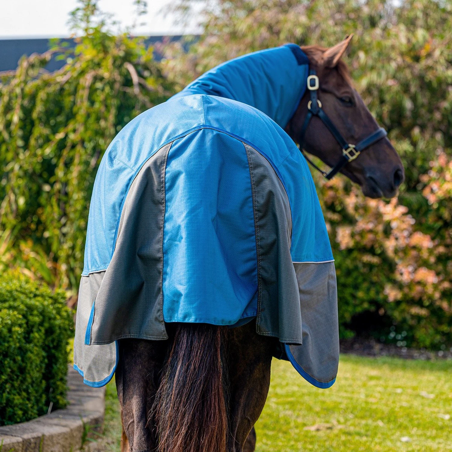 Eurohunter Kosciuszko II (Last Season) Elite Combo 4 Eurohunter Kosciuszko II (Last Season) Elite Combo - Image 2