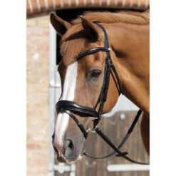 Premier Equine Rizzo Anatomic Bridle With Flash
