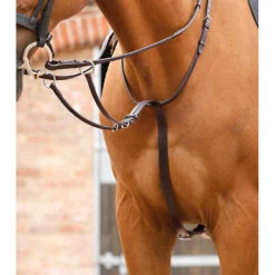 Premier Equine Santadi Adjustable Running Martingale 7 Premier Equine Santadi Adjustable Running Martingale -Equestrian Supplies Store Santadi Adjustable Running Martingale Brown 1 768x b452694a ee7f 4f55 adfa 7427540265a8