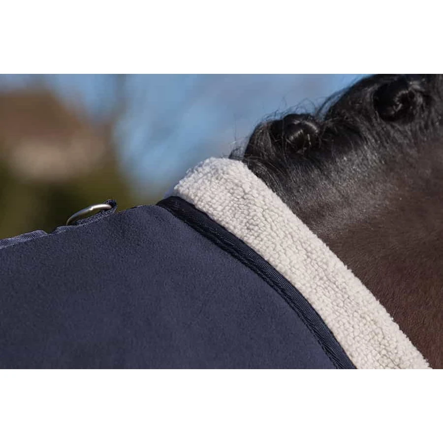 Lemieux Four Seasons Rug 6 Lemieux Four Seasons Rug - Image 4