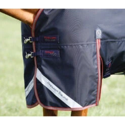 Premier Equine Titan 100 Turnout Rug With Detachable Neck Cover -Equestrian Supplies Store Titan 100g Navy Chest 900x775 big