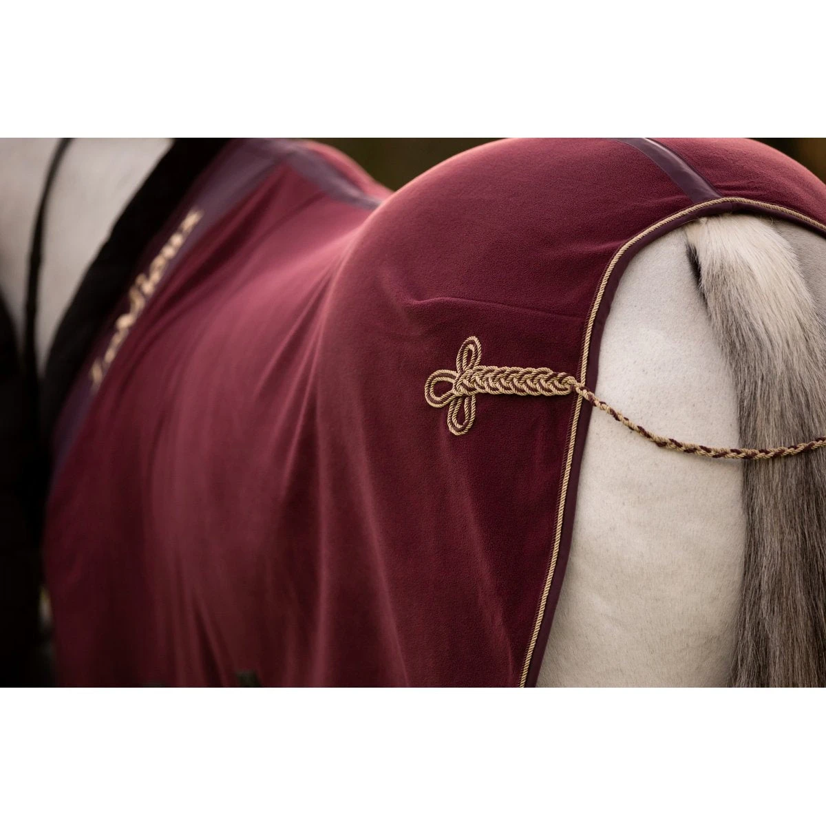 LeMieux Fleece Rug 4 LeMieux Fleece Rug - Image 2