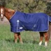 Eurohunter NEW Ironbark Rug 2 Eurohunter NEW Ironbark Rug -Equestrian Supplies Store eyJidWNrZXQiOiJ3ZWItbmluamEtaW1hZ2VzIiwia2V5Ijoic2FkZGxld29ybGR3aFwvaW1hZ2VzXC9wcm9kaW1nXC80ODY1XzEuanBnIi.pbnNpZGUiLCJ3aXRob3V0RW5sYXJnZW1lbnQiOnRydWV9fSwidmVyc2lvbiI6ImQ0OGRiNWM0N