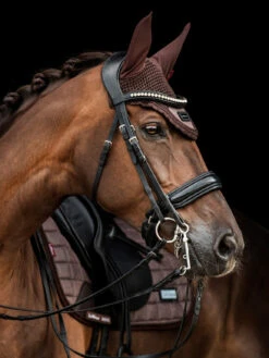 LeMieux Rhone Fly Hood -Equestrian Supplies Store fc2a1792copy pt