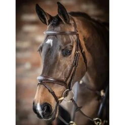 LeMieux Competition Bridle -Equestrian Supplies Store g0a7025 1