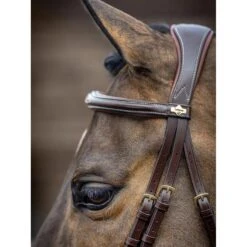 LeMieux Competition Bridle -Equestrian Supplies Store g0a7191