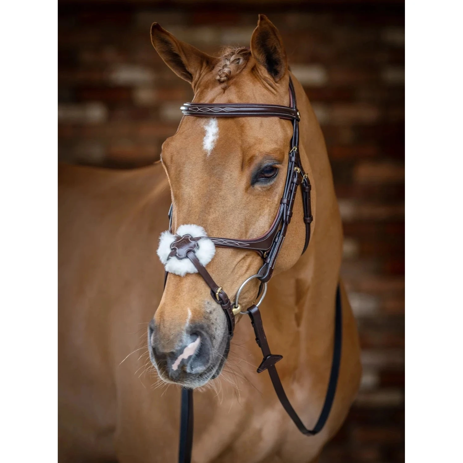 LeMieux Kudos Grackle Bridle 9 LeMieux Kudos Grackle Bridle - Image 7