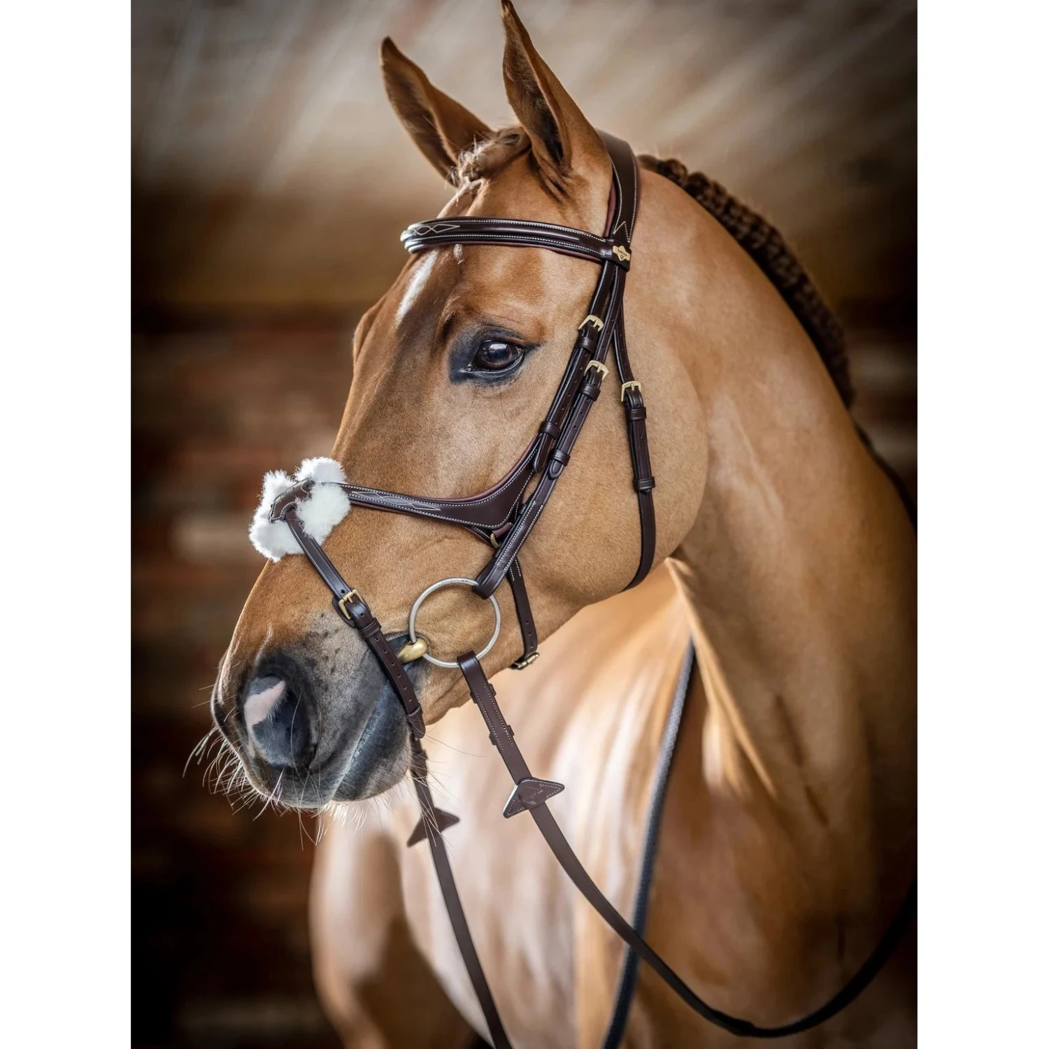 LeMieux Kudos Grackle Bridle 8 LeMieux Kudos Grackle Bridle - Image 6