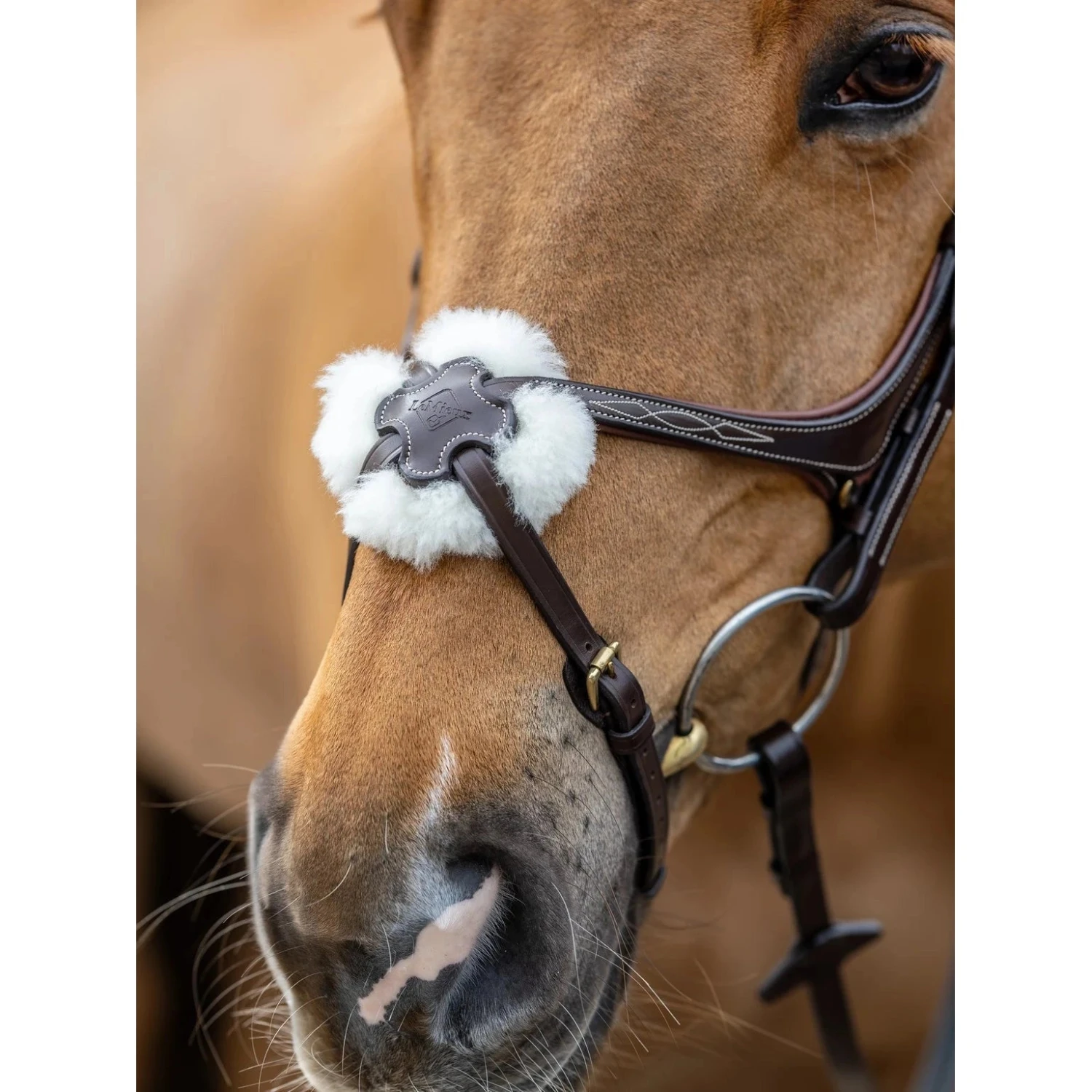 LeMieux Kudos Grackle Bridle 11 LeMieux Kudos Grackle Bridle - Image 9