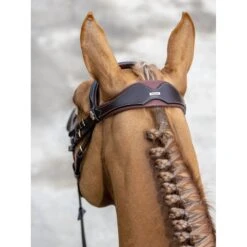LeMieux Competition Bridle -Equestrian Supplies Store g0a7434