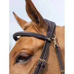 LeMieux Kudos Work Bridle -Equestrian Supplies Store g0a7510