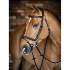 LeMieux Kudos Work Bridle -Equestrian Supplies Store g0a7546