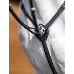 LeMieux Breastplate -Equestrian Supplies Store g0a7570