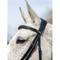 LeMieux Competition Bridle -Equestrian Supplies Store g0a7614