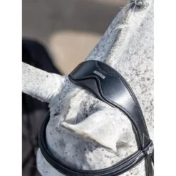 LeMieux Competition Bridle -Equestrian Supplies Store g0a7648