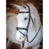 LeMieux Competition Bridle 1 LeMieux Competition Bridle -Equestrian Supplies Store g0a7729