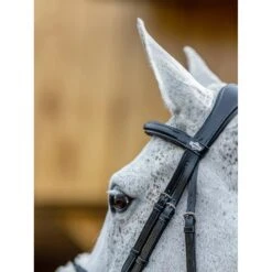 LeMieux Kudos Grackle Bridle 15 LeMieux Kudos Grackle Bridle -Equestrian Supplies Store g0a7802