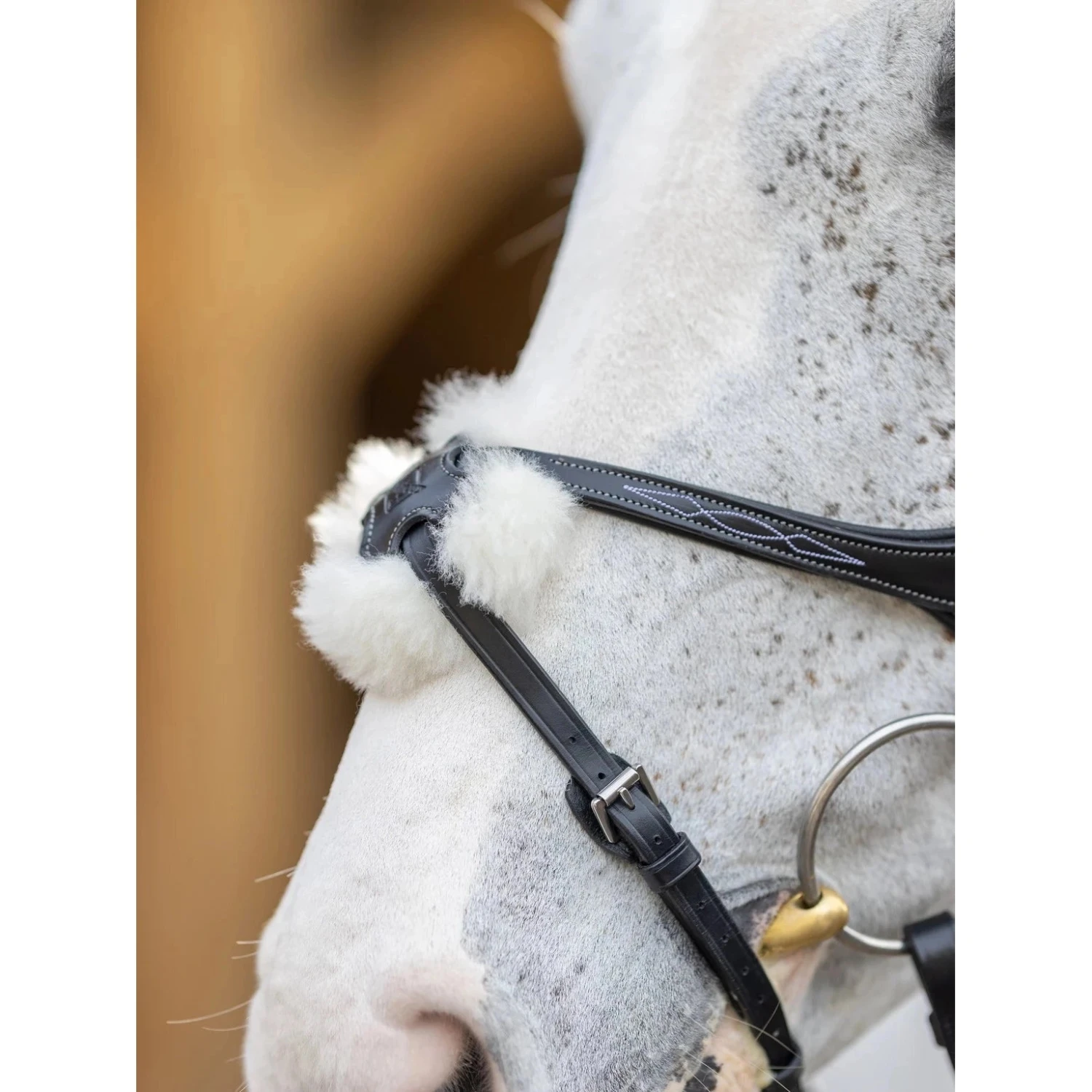 LeMieux Kudos Grackle Bridle 5 LeMieux Kudos Grackle Bridle - Image 3