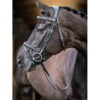 LeMieux Kudos Work Bridle -Equestrian Supplies Store g0a7857