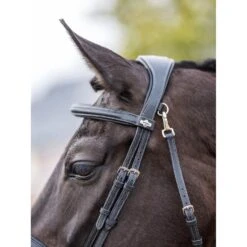LeMieux Kudos Work Bridle -Equestrian Supplies Store g0a7900