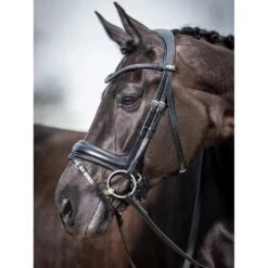 LeMieux Kudos Dressage Bridle -Equestrian Supplies Store g0a7948 1