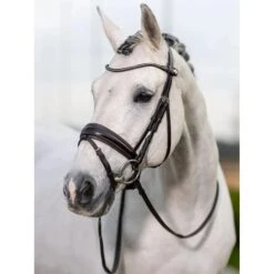 LeMieux Kudos Dressage Bridle -Equestrian Supplies Store g0a7990 v2