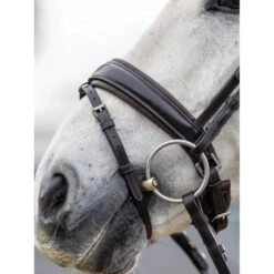 LeMieux Kudos Dressage Bridle -Equestrian Supplies Store g0a8031