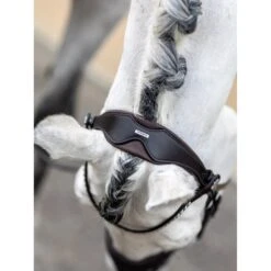 LeMieux Kudos Dressage Bridle -Equestrian Supplies Store g0a8042