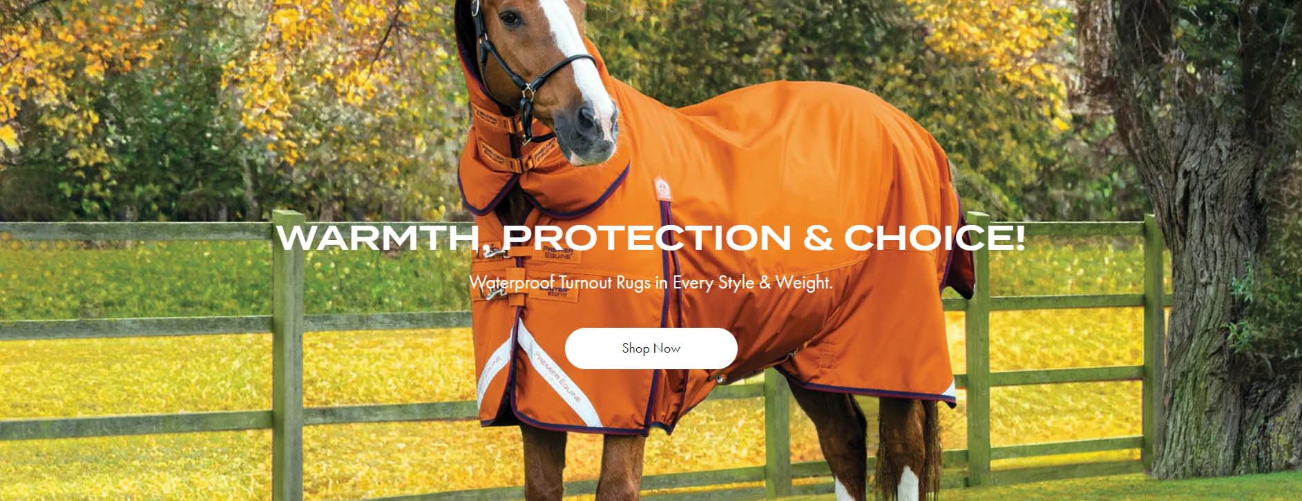 Equestrian Supplies Store -Equestrian Supplies Store gugy