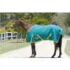 Horsemaster 20oz Ripstop 200g Canvas Rug 6'6 *SALE* -Equestrian Supplies Store horsemaster canvas rug rug