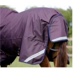 Premier Equine Titan 200 Original Turnout Rug -Equestrian Supplies Store image 370b11d4 025e 4765 a11b 13f7f2df52b1