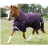 Premier Equine Titan 200 Original Turnout Rug -Equestrian Supplies Store image 6b1efe4a 4fc2 4da5 bd50 b8992d9b3c32