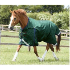 Premier Equine Buster Zero Original Turnout Rug -Equestrian Supplies Store image 760e8c3e 1955 4cec aa5a 8cdb4874f2e9