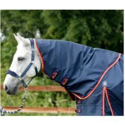 Premier Equine Buster Zero 0g Turnout Rug With Classic Neck Cover 15 Premier Equine Buster Zero 0g Turnout Rug With Classic Neck Cover -Equestrian Supplies Store image a3535bb3 716a 493e 8cbf f85a810ea9c5