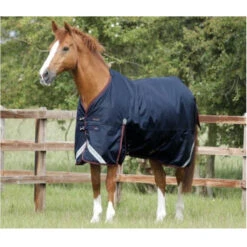 Premier Equine Titan 200 Original Turnout Rug -Equestrian Supplies Store image c5e1cf40 fe08 4ac8 9b04 bb42adaba51e