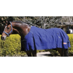 Zilco Blue Mountain Canvas Rug