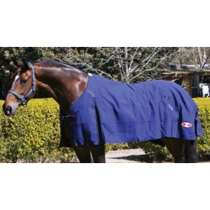 Zilco Blue Mountain Canvas Rug 3 Zilco Blue Mountain Canvas Rug