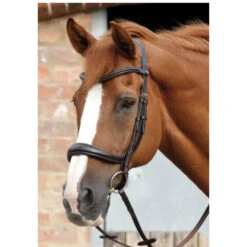 Premier EquineLambro Anatomic Bridle With Crank Noseband 8 Premier EquineLambro Anatomic Bridle With Crank Noseband -Equestrian Supplies Store imagejpg 3fc6f3ad a279 4625 b525 34642762d595